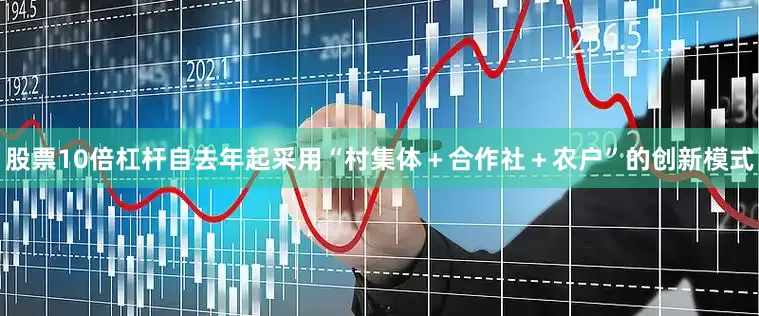 股票10倍杠杆自去年起采用“村集体＋合作社＋农户”的创新模式